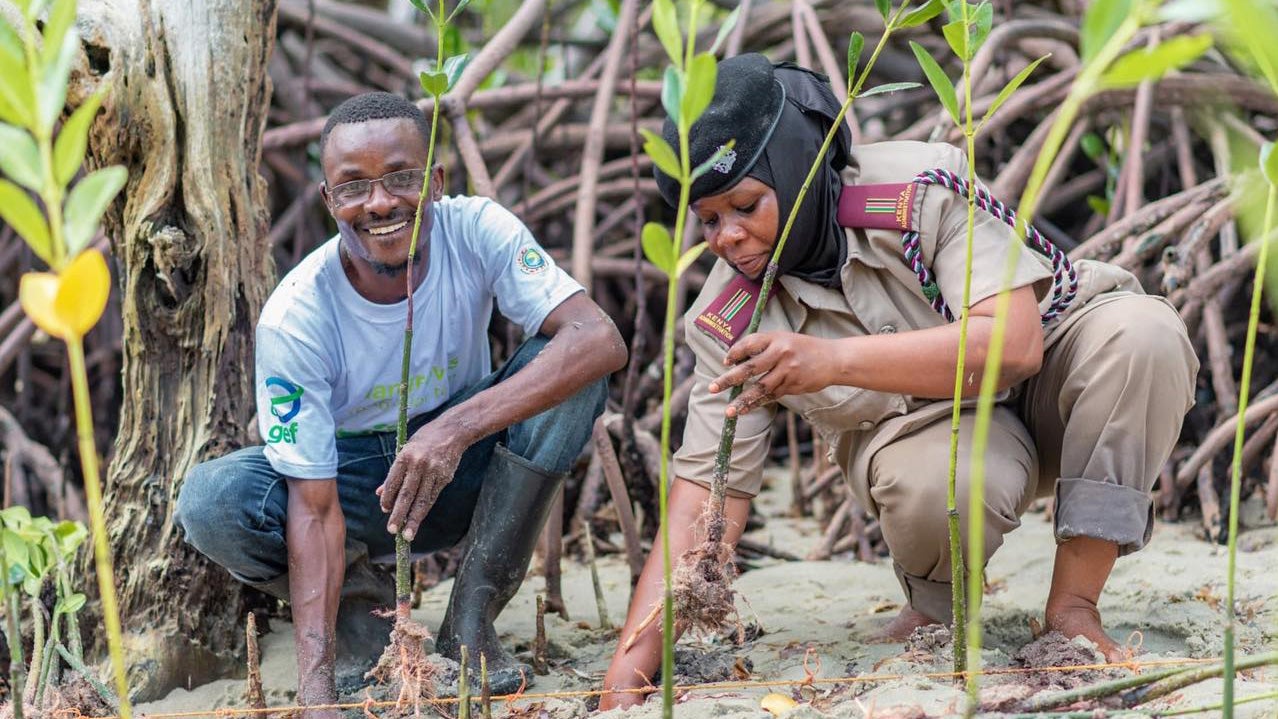 Kenyan Youth Lead Biodiversity Restoration Efforts Amid National Policy Debates