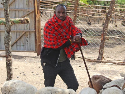 Joshua Laizer with livestock