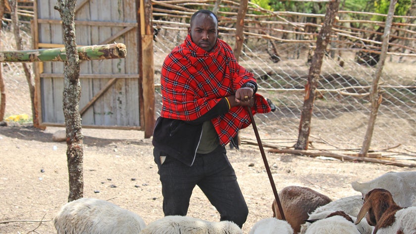 Joshua Laizer with livestock